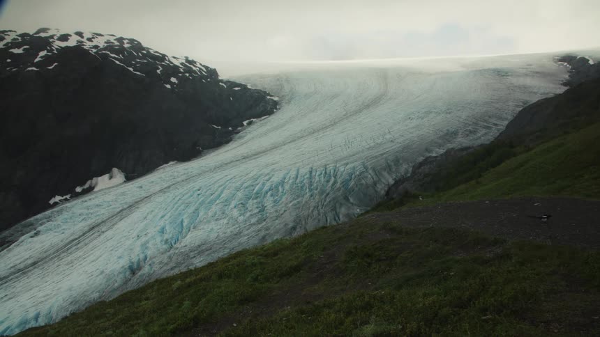 A mountain covered with ice below it lots of snow and ice and on the side a bird walking on the grass
