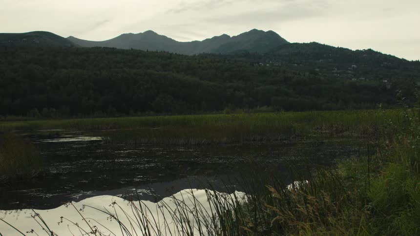 Marsh water reflects the overcast sky and the nearby mountains