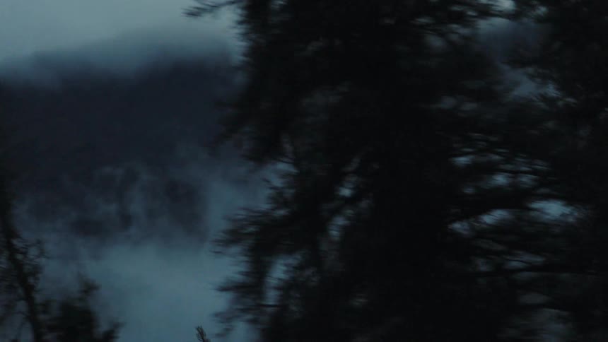 Dark pine trees in foreground with lightning in the background among fogcovered mountains