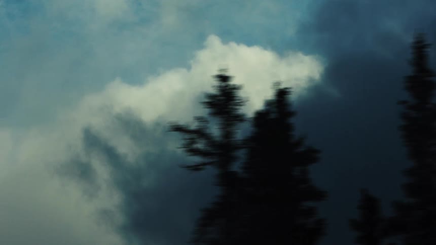 Dark clouds put shade on the forest