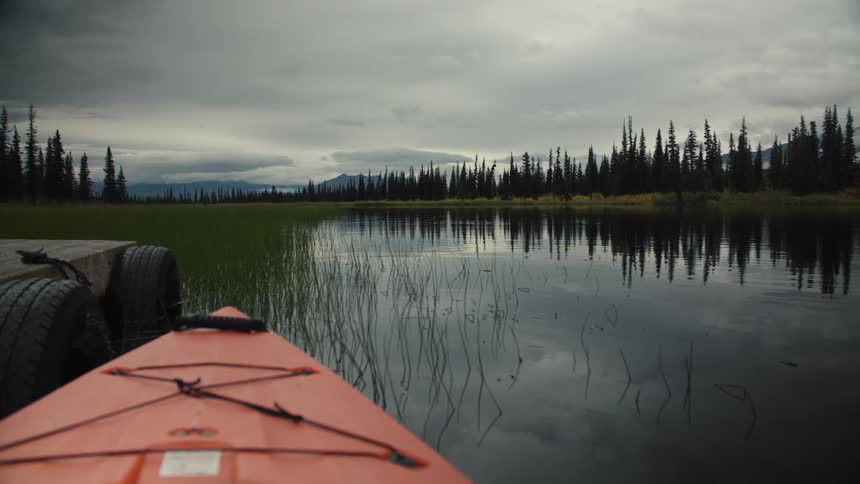 Lake surrounded by trees outdoors during day time