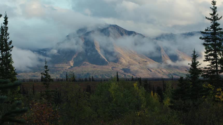 A grassplain with a few scattered trees stretches across the foreground while a mountain range looms in the background softened by a foggy atmosphere under the midday sun