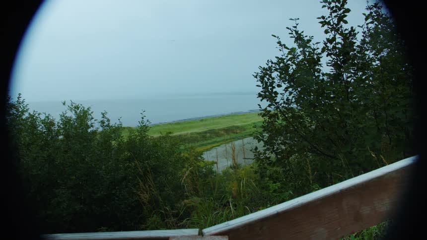 Dense vegetation frames the view of a winding river flowing into the sea in the distance