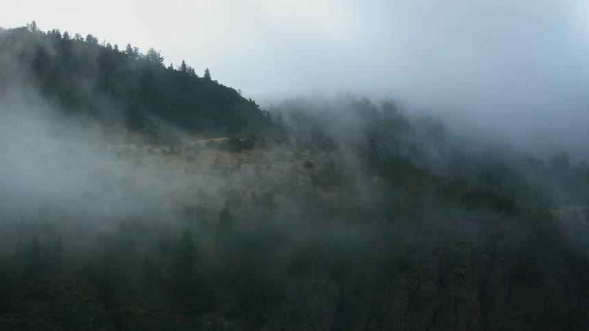 Fog and low lying clouds partially obscure forest covered mountains during the daytime