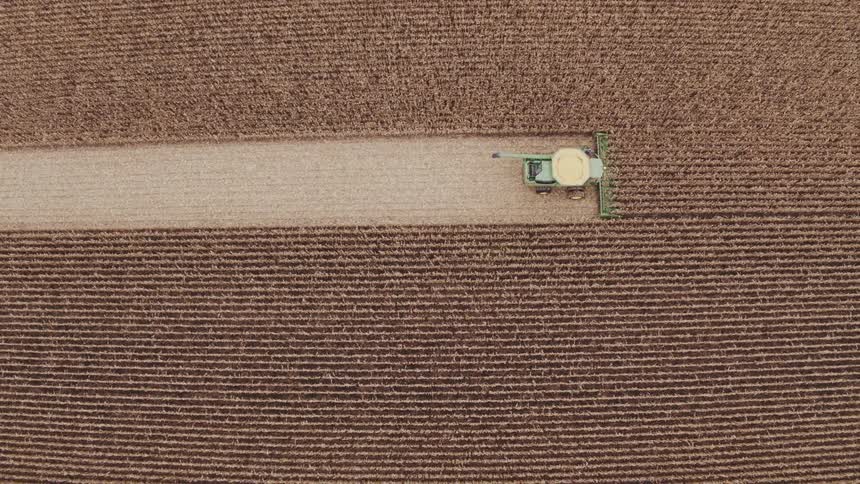 The green tractor is harvesting the crops