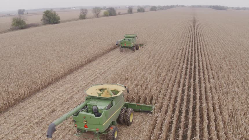 Two green combines harvest parallel passes through a vast dry cornfield under a gray sky grain tanks open and augers folded as they leave neat rows of stubble