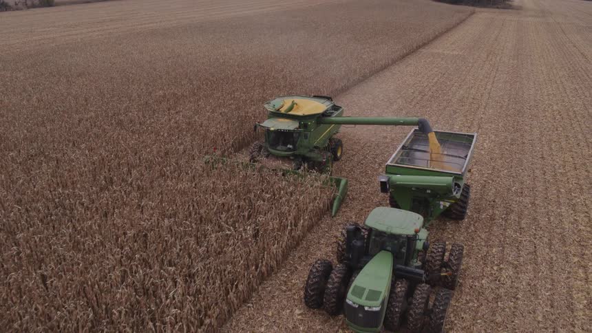 The tractor is harvesting grain on the farm