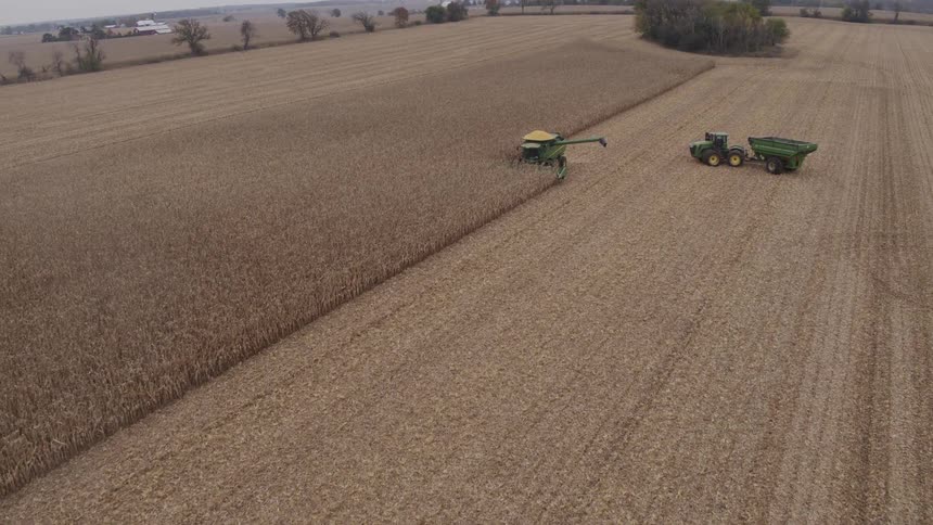 Three green harvesters and a tractor with grain cart work across a sprawling cornfield one unloading with the auger extended while others cut parallel passes under an overcast sky
