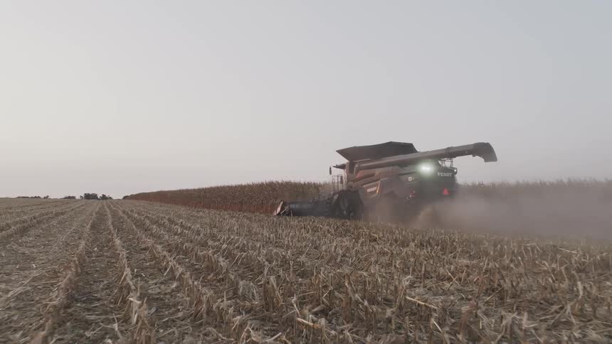 Combine harvester in action harvesting rows of corn in a vast field at dusk