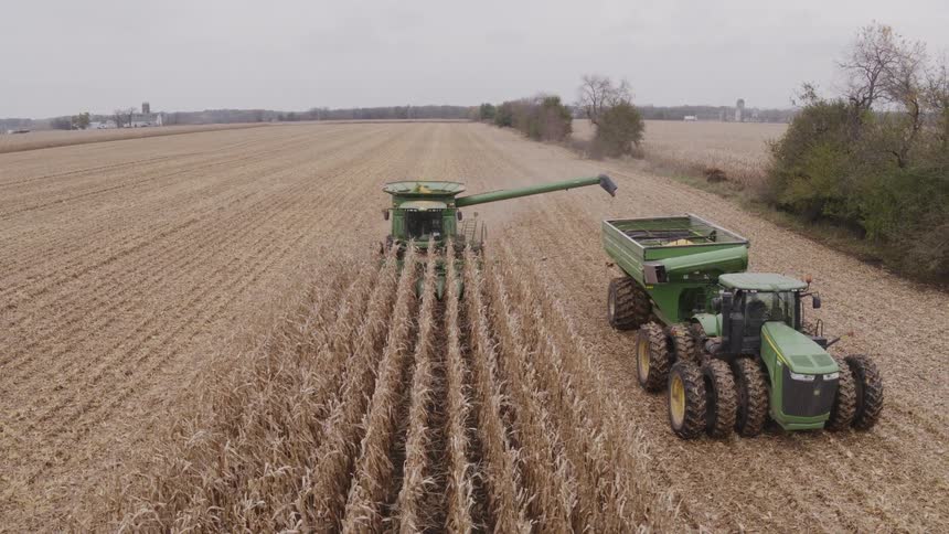 Harvester unloading grains into a tractor in a cornfield