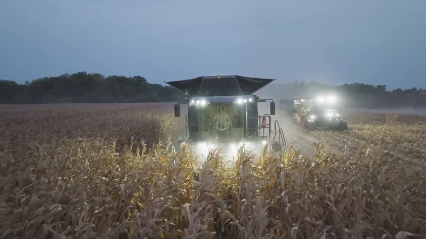Two combine harvesters work side by side cutting through a vast cornfield