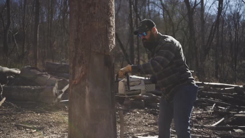 The logger is cutting down the tree with a chainsaw