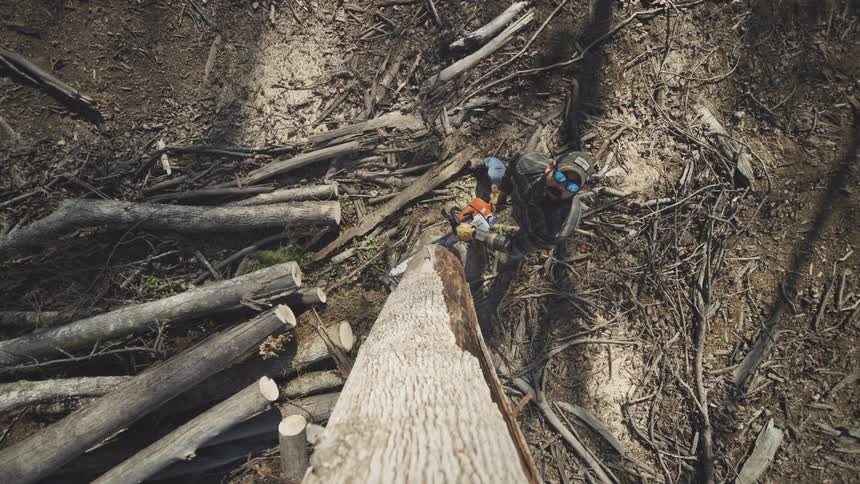 A man uses a chainsaw to cut a fallen tree trunk surrounded by a forest floor littered with branches and logs