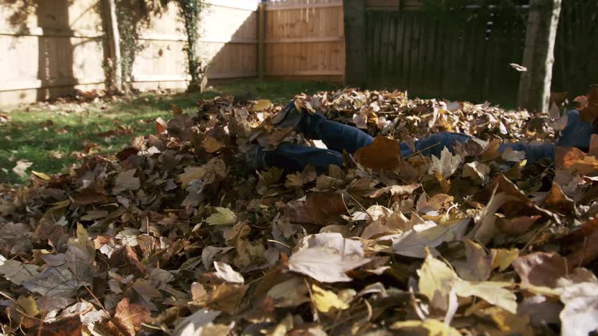 A young boy climbs and dives headfirst into a large mound of dried brown leaves in a grassy backyard on a sunny day