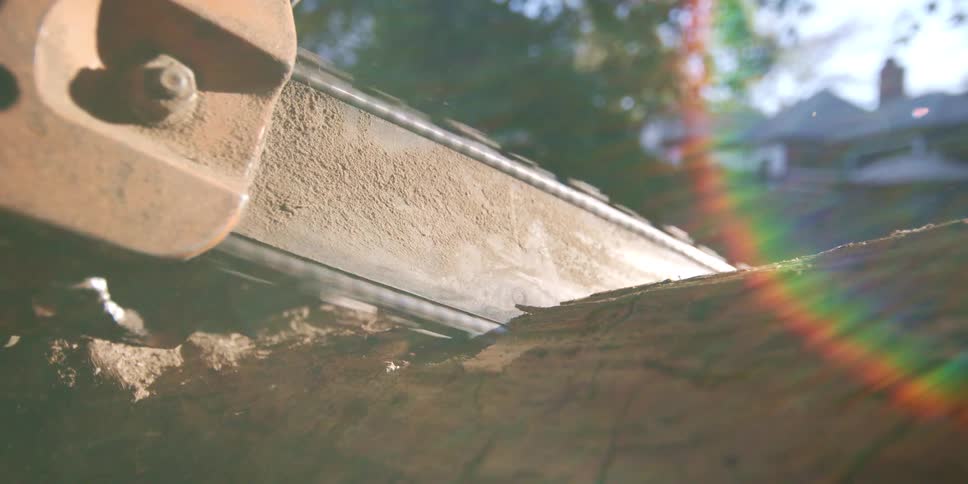 A closeup shot shows a chainsaw blade actively cutting into a thick piece of wood or a fallen tree trunk bright sunlight creates a lens flare with a visible spectrum of colors on the right side of the frame
