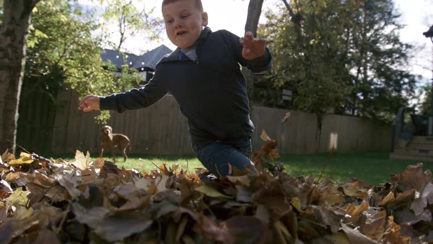 A male child runs and playfully jumps into a leaf pile outdoors in a yard during daytime
