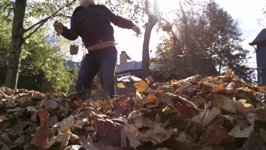 Young boy playing with dead leaves by throwing them in the air and jumping around outdoors during day time