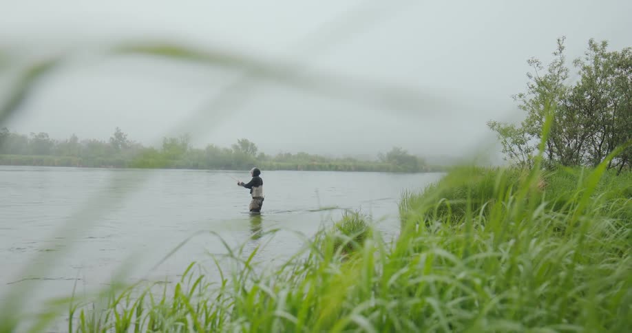 Lone fisherman casting a line in a river surrounded by wet vegetation