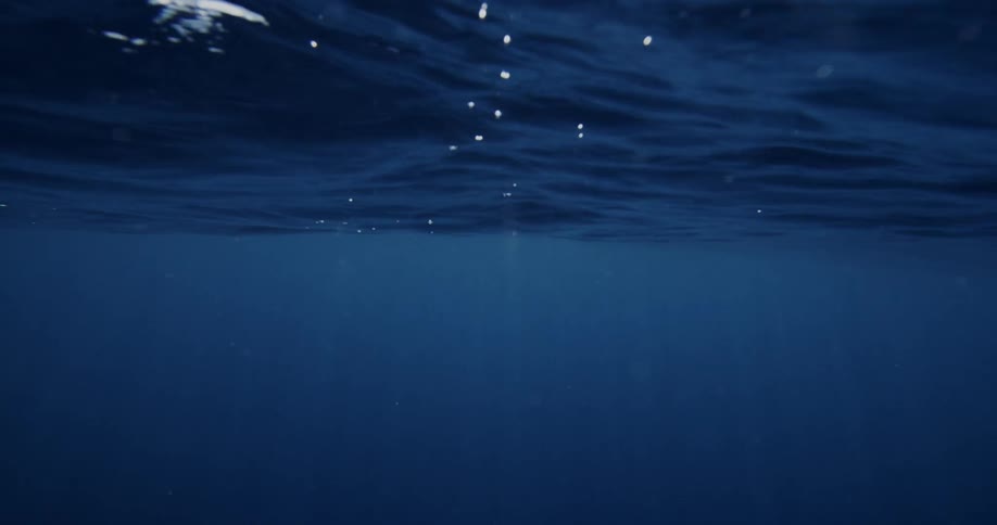 Sunlight shines into the dark waters