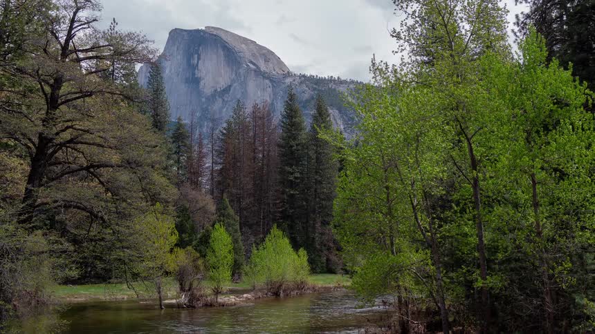 Half dome rises behind calm river surrounded by green trees