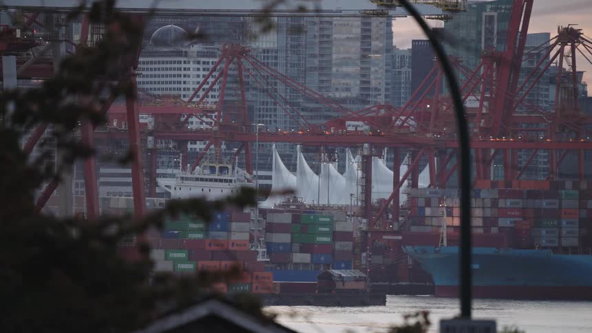 The bird flies past the container yard on the shore