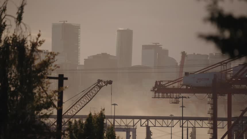 Cranes and industrial structures emerge through mist with buildings in the background