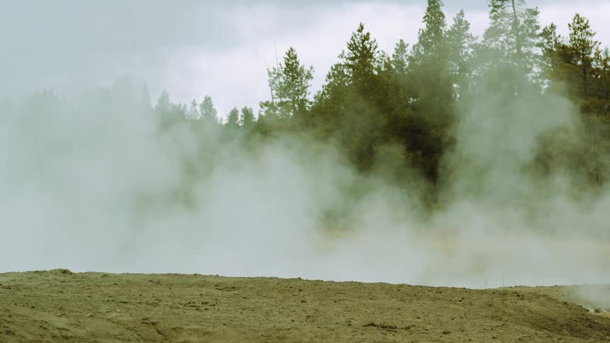 Thick steam rises from the ground in an area near a forest