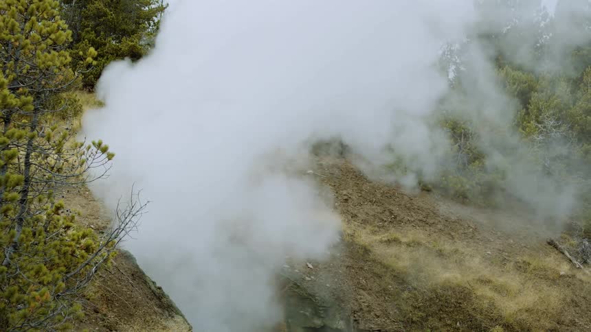 Dense cloud of steam rises from a fissure surrounded by dry vegetation