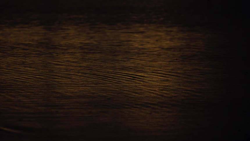 Golden sunset reflection spreads across the rippled water surface