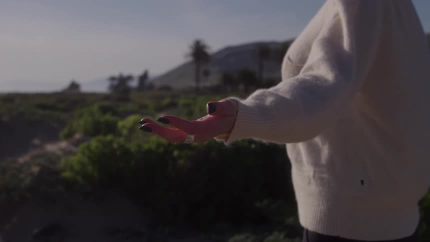 The video is a closeup shot of a persons outstretched hand palm up positioned against a blurry sunny outdoor landscape the person is wearing a white or lightcolored sweater and has dark nail polish on their fingers