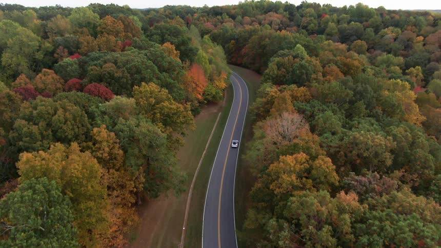 A sedan cruises along a countryside highway at midday flanked on both sides by dense forest trees at midday