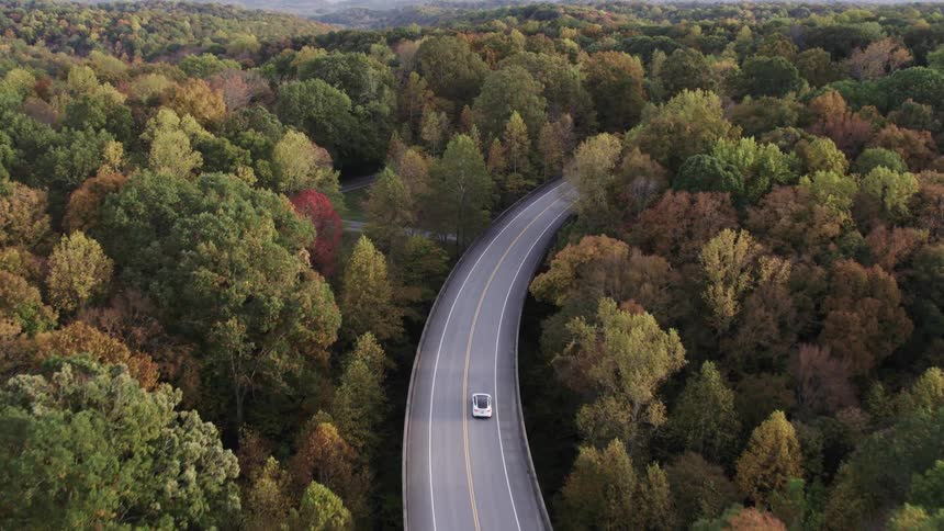 White car drives along a viaduct surrounded by a forest in autumn tones