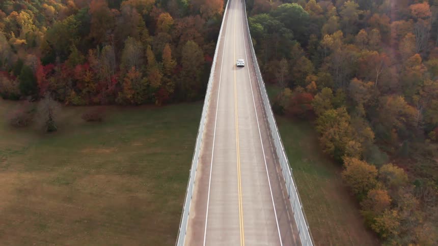 An aerial view of a car passing on an asphalt overpass and in front of it there is a large forest
