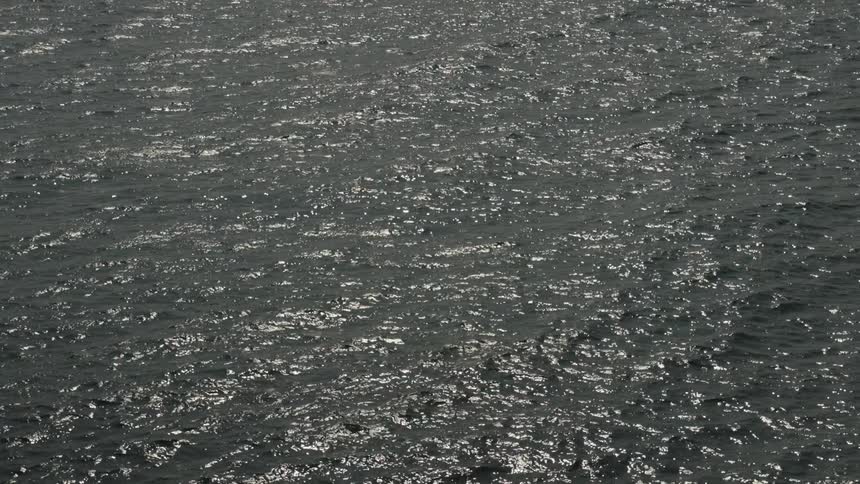 A sunlit expanse of rippling dark water sparkles with scattered highlights and small wind driven waves