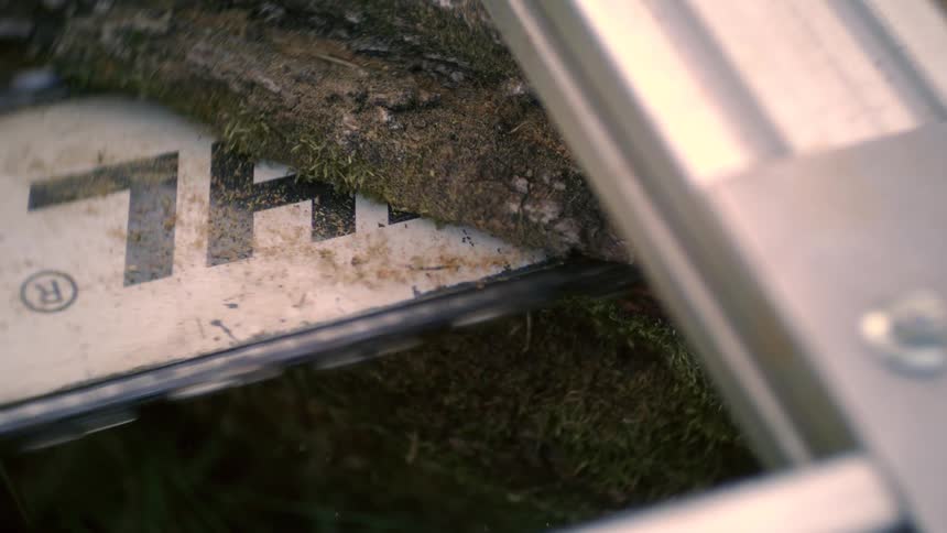 A chainsaw blade slowly saws through a mossy log