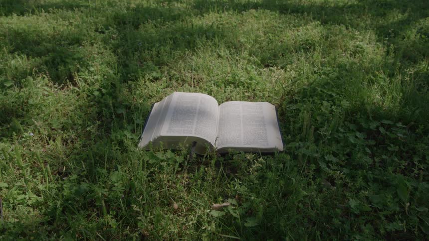 Open book rests on sunlit grass