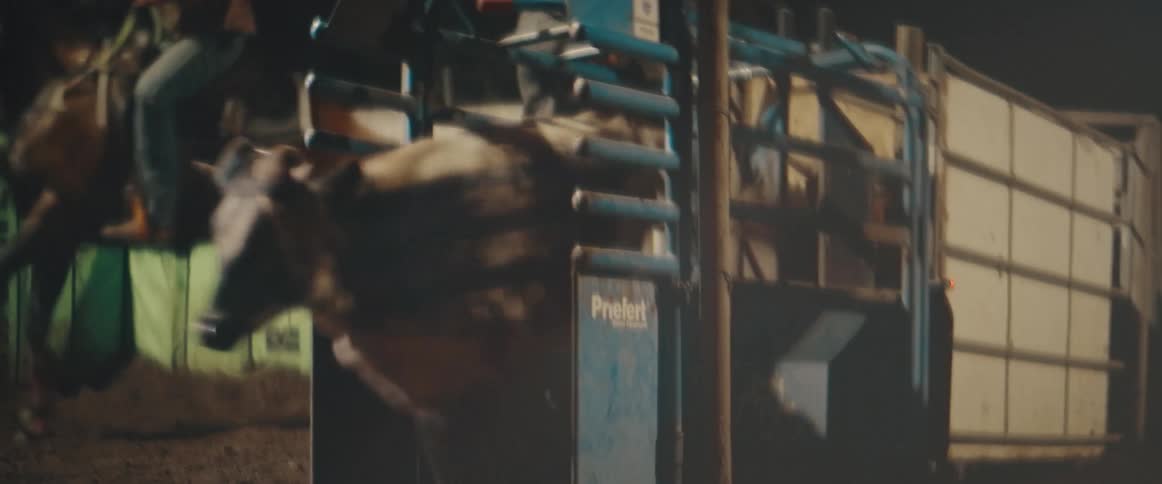 Cowboys chase the steer released during a team roping competition