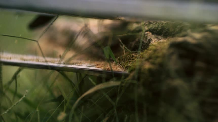A very close view from the ground shows a chainsaw blade mounted on a metal frame slicing slowly through a mossy log surrounded by green grass outdoors