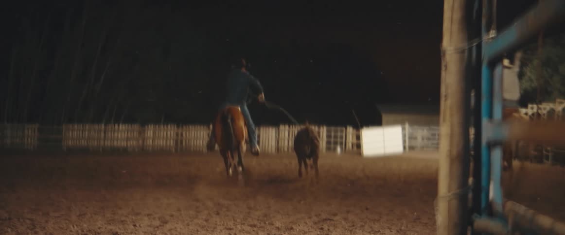 Two cowboys lasso the running bull from their horses
