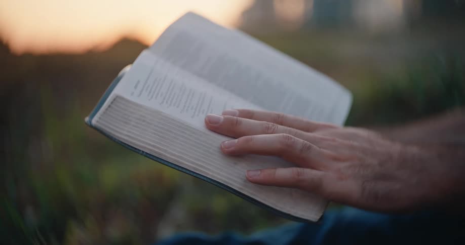 A person reading outside
