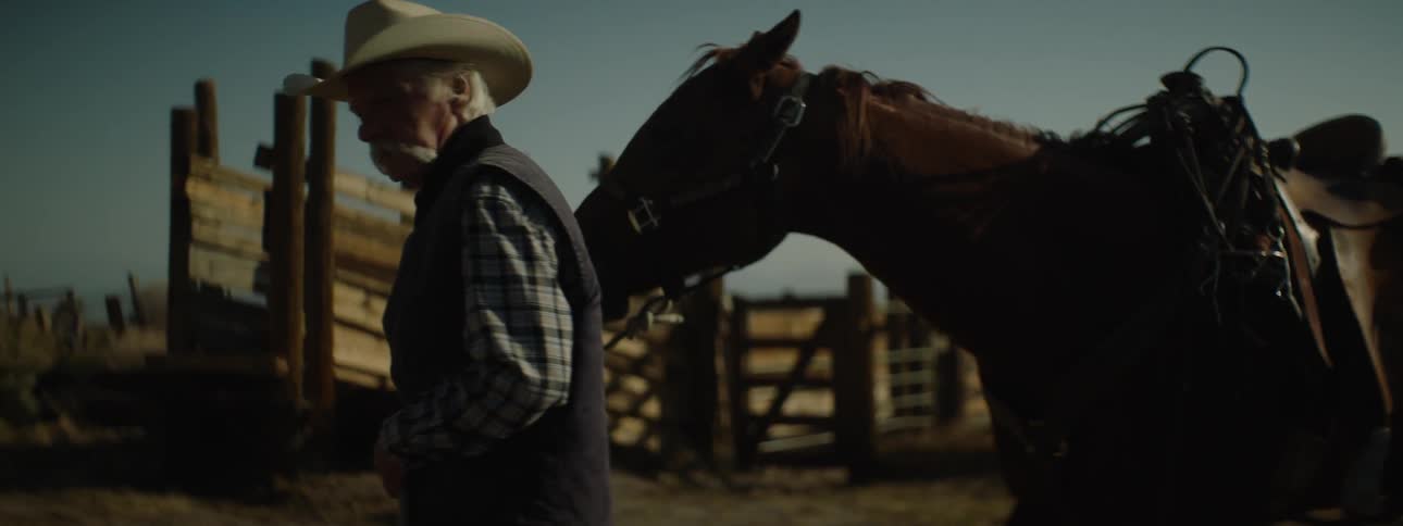 An old cowboy walks with a saddled horse