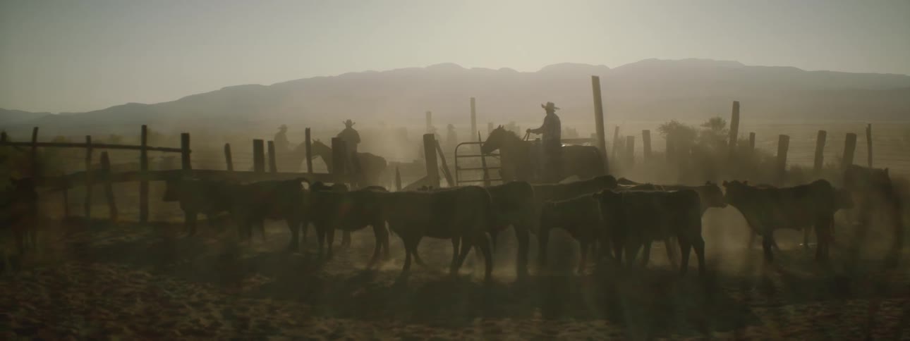 People ride horses around the cows on a farm