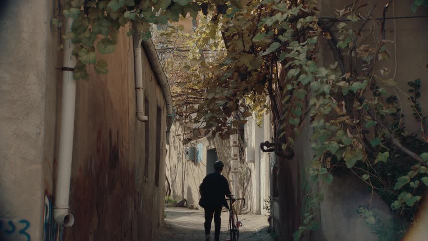 Man walks pushing a bicycle through a shaded alley with vines on the walls