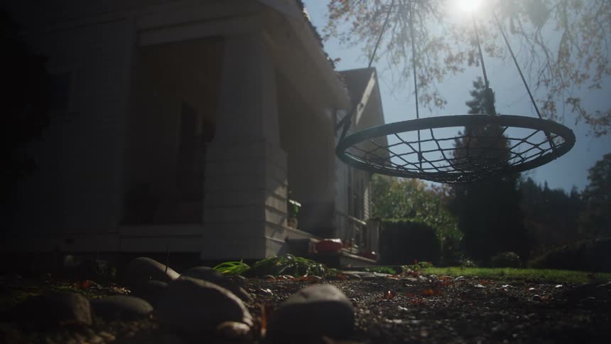 Circular swing hangs over the sunlit garden beside a house