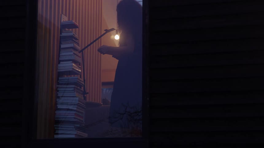 The video is a stationary shot taken from outdoors looking into a dark room through a window or doorway the focal points are a tall stack of books and a single bare light bulb hanging from a cord illuminating the corner of the room