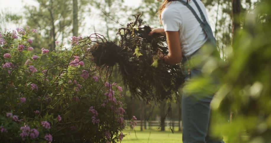 Woman pours soil into a flower garden under soft morning light