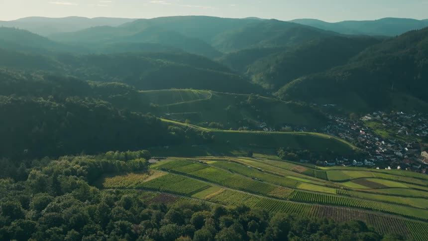 Forested hills and mountains in the background a small settlement of houses in the middle ground on the right and bright green terraced vineyards and agricultural fields in the foreground and valley floor under a hazy sun