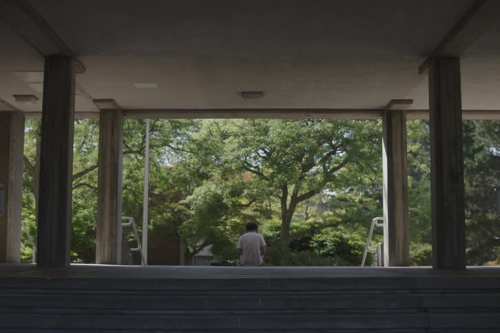Man sitting alone facing trees lit by daylight