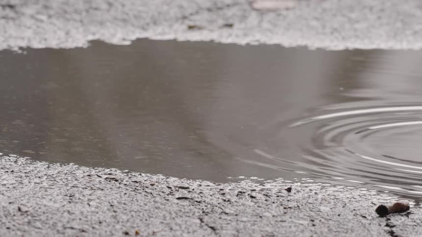 Closeup of a raindrops ripple across a puddle on wet pavement