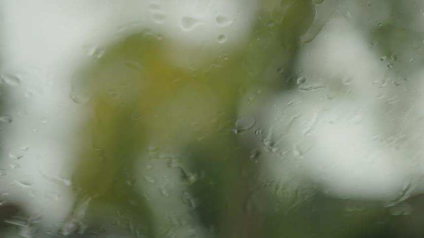 Raindrops on a windshield